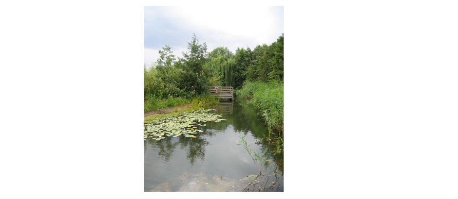 Ecology Park, Millenium Village, London