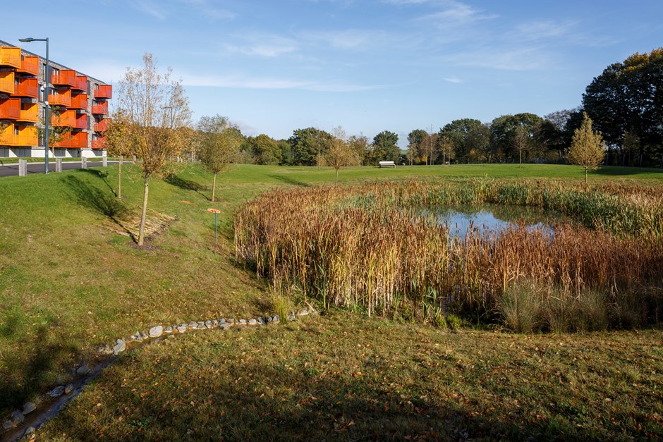 Temple Farm, Chelmsford