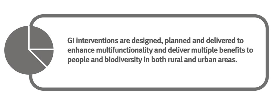 Principle 3: Multifunctional Outcomes