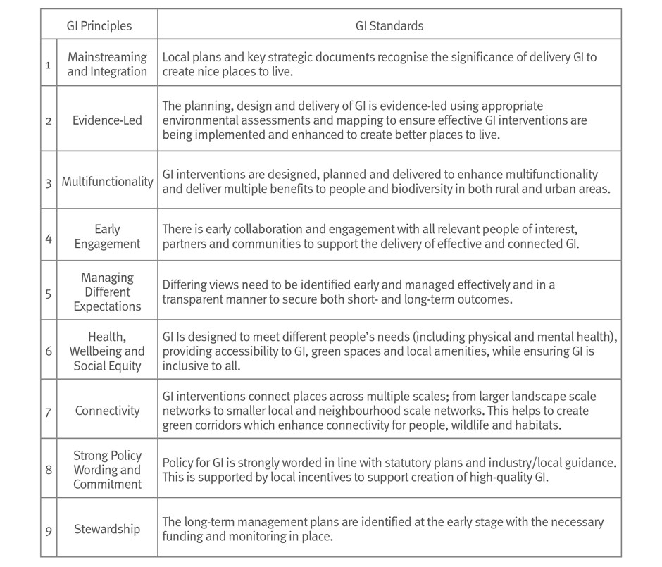 Essex GI Principles and Standards