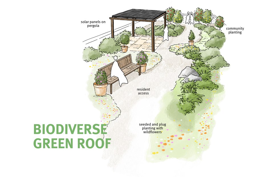 Integrated Green Roof Design