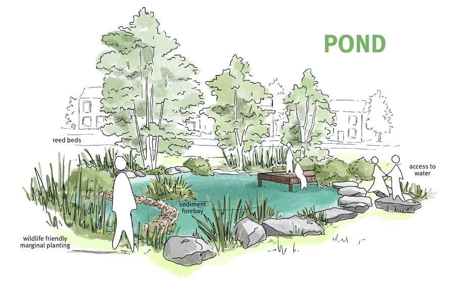 Integrated Pond Design